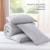 imageAndency Beige Twin Size Comforter Set Solid Bed Comforter 2 Pieces 1 Boho Comforter ampamp 1 Pillowcase Lightweight and Fluffy Plain Beige Bed Comforter Set for All SeasonSilver Grey