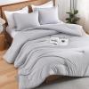 imageAndency Beige Twin Size Comforter Set Solid Bed Comforter 2 Pieces 1 Boho Comforter ampamp 1 Pillowcase Lightweight and Fluffy Plain Beige Bed Comforter Set for All SeasonSilver Grey