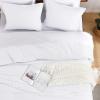 imageAndency Beige Twin Size Comforter Set Solid Bed Comforter 2 Pieces 1 Boho Comforter ampamp 1 Pillowcase Lightweight and Fluffy Plain Beige Bed Comforter Set for All SeasonWhite