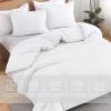 imageAndency Beige Twin Size Comforter Set Solid Bed Comforter 2 Pieces 1 Boho Comforter ampamp 1 Pillowcase Lightweight and Fluffy Plain Beige Bed Comforter Set for All SeasonWhite