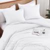 imageAndency Beige Twin Size Comforter Set Solid Bed Comforter 2 Pieces 1 Boho Comforter ampamp 1 Pillowcase Lightweight and Fluffy Plain Beige Bed Comforter Set for All SeasonWhite