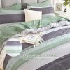 imageAndency Full Size Comforter Set Sage Green  7 Pieces Green Striped Lightweight Bed in a Bag Soft Microfiber Reversible Bedding Set with Comforter Fitted ampamp Flat Sheet Pillowcases ampamp Shams01  Sage Green