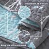imageAndency Green Quilt Queen Size 96x90 Inch 3 Pieces Floral Lightweight Bedspread Microfiber Reversible Flower Quilted Coverlet with 2 Pillowcases for Men WomenGrey Blue