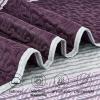 imageAndency Queen Quilt Bedding Set Beige 3 Pieces Patchwork Beige Striped Ultra Soft Lightweight Bedspreads Coverlets Set with 2 Pillow Shams for All Seasons 90quotx96quot08  Purple Gray