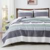 imageAndency Queen Quilt Bedding Set Beige 3 Pieces Patchwork Beige Striped Ultra Soft Lightweight Bedspreads Coverlets Set with 2 Pillow Shams for All Seasons 90quotx96quot01  Sage Green