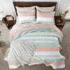 imageAndency Queen Quilt Bedding Set Beige 3 Pieces Patchwork Beige Striped Ultra Soft Lightweight Bedspreads Coverlets Set with 2 Pillow Shams for All Seasons 90quotx96quot32  Pink Green
