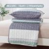 imageAndency Queen Quilt Bedding Set Beige 3 Pieces Patchwork Beige Striped Ultra Soft Lightweight Bedspreads Coverlets Set with 2 Pillow Shams for All Seasons 90quotx96quot01  Sage Green