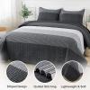 imageAndency Queen Quilt Bedding Set Beige 3 Pieces Patchwork Beige Striped Ultra Soft Lightweight Bedspreads Coverlets Set with 2 Pillow Shams for All Seasons 90quotx96quot02  Black and White