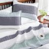 imageAndency Queen Quilt Bedding Set Beige 3 Pieces Patchwork Beige Striped Ultra Soft Lightweight Bedspreads Coverlets Set with 2 Pillow Shams for All Seasons 90quotx96quot01  Sage Green