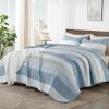 imageAndency Queen Quilt Bedding Set Beige 3 Pieces Patchwork Beige Striped Ultra Soft Lightweight Bedspreads Coverlets Set with 2 Pillow Shams for All Seasons 90quotx96quot31  Misty Blue