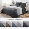 imageAndency Queen Quilt Bedding Set Beige 3 Pieces Patchwork Beige Striped Ultra Soft Lightweight Bedspreads Coverlets Set with 2 Pillow Shams for All Seasons 90quotx96quot02  Black and White