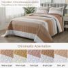 imageAndency Queen Quilt Bedding Set Beige 3 Pieces Patchwork Beige Striped Ultra Soft Lightweight Bedspreads Coverlets Set with 2 Pillow Shams for All Seasons 90quotx96quot12  Taupe