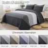 imageAndency Queen Quilt Bedding Set Beige 3 Pieces Patchwork Beige Striped Ultra Soft Lightweight Bedspreads Coverlets Set with 2 Pillow Shams for All Seasons 90quotx96quot02  Black and White