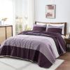 imageAndency Queen Quilt Bedding Set Beige 3 Pieces Patchwork Beige Striped Ultra Soft Lightweight Bedspreads Coverlets Set with 2 Pillow Shams for All Seasons 90quotx96quot08  Purple Gray
