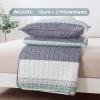 imageAndency Queen Quilt Bedding Set Beige 3 Pieces Patchwork Beige Striped Ultra Soft Lightweight Bedspreads Coverlets Set with 2 Pillow Shams for All Seasons 90quotx96quot01  Sage Green