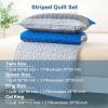 imageAndency Queen Quilt Bedding Set Beige 3 Pieces Patchwork Beige Striped Ultra Soft Lightweight Bedspreads Coverlets Set with 2 Pillow Shams for All Seasons 90quotx96quot07  Gray Blue