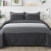imageAndency Queen Quilt Bedding Set Beige 3 Pieces Patchwork Beige Striped Ultra Soft Lightweight Bedspreads Coverlets Set with 2 Pillow Shams for All Seasons 90quotx96quot02  Black and White