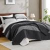 imageAndency Queen Quilt Bedding Set Beige 3 Pieces Patchwork Beige Striped Ultra Soft Lightweight Bedspreads Coverlets Set with 2 Pillow Shams for All Seasons 90quotx96quot02  Black and White