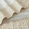 imageAndency Queen Quilt Bedding Set Beige 3 Pieces Patchwork Beige Striped Ultra Soft Lightweight Bedspreads Coverlets Set with 2 Pillow Shams for All Seasons 90quotx96quot05  Beige