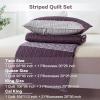 imageAndency Queen Quilt Bedding Set Beige 3 Pieces Patchwork Beige Striped Ultra Soft Lightweight Bedspreads Coverlets Set with 2 Pillow Shams for All Seasons 90quotx96quot08  Purple Gray