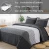 imageAndency Queen Quilt Bedding Set Beige 3 Pieces Patchwork Beige Striped Ultra Soft Lightweight Bedspreads Coverlets Set with 2 Pillow Shams for All Seasons 90quotx96quot02  Black and White