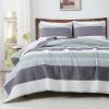 imageAndency Queen Quilt Bedding Set Beige 3 Pieces Patchwork Beige Striped Ultra Soft Lightweight Bedspreads Coverlets Set with 2 Pillow Shams for All Seasons 90quotx96quot01  Sage Green
