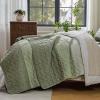 imageAndency Queen Quilt Bedding Set Beige 3 Pieces Patchwork Beige Striped Ultra Soft Lightweight Bedspreads Coverlets Set with 2 Pillow Shams for All Seasons 90quotx96quot37  Wheat Green