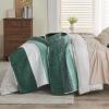 imageAndency Queen Quilt Bedding Set Beige 3 Pieces Patchwork Beige Striped Ultra Soft Lightweight Bedspreads Coverlets Set with 2 Pillow Shams for All Seasons 90quotx96quot09  Emerald Green