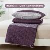 imageAndency Queen Quilt Bedding Set Beige 3 Pieces Patchwork Beige Striped Ultra Soft Lightweight Bedspreads Coverlets Set with 2 Pillow Shams for All Seasons 90quotx96quot08  Purple Gray