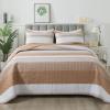 imageAndency Queen Quilt Bedding Set Beige 3 Pieces Patchwork Beige Striped Ultra Soft Lightweight Bedspreads Coverlets Set with 2 Pillow Shams for All Seasons 90quotx96quot12  Taupe