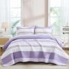 imageAndency Queen Quilt Bedding Set Beige 3 Pieces Patchwork Beige Striped Ultra Soft Lightweight Bedspreads Coverlets Set with 2 Pillow Shams for All Seasons 90quotx96quot15  Lavender