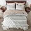 imageAndency Queen Quilt Bedding Set Beige 3 Pieces Patchwork Beige Striped Ultra Soft Lightweight Bedspreads Coverlets Set with 2 Pillow Shams for All Seasons 90quotx96quot20  Linen Grey
