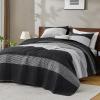 imageAndency Queen Quilt Bedding Set Beige 3 Pieces Patchwork Beige Striped Ultra Soft Lightweight Bedspreads Coverlets Set with 2 Pillow Shams for All Seasons 90quotx96quot02  Black and White