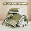 imageAndency Queen Quilt Bedding Set Beige 3 Pieces Patchwork Beige Striped Ultra Soft Lightweight Bedspreads Coverlets Set with 2 Pillow Shams for All Seasons 90quotx96quot17  Olive