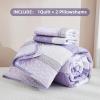 imageAndency Queen Quilt Bedding Set Beige 3 Pieces Patchwork Beige Striped Ultra Soft Lightweight Bedspreads Coverlets Set with 2 Pillow Shams for All Seasons 90quotx96quot15  Lavender