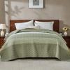 imageAndency Queen Quilt Bedding Set Beige 3 Pieces Patchwork Beige Striped Ultra Soft Lightweight Bedspreads Coverlets Set with 2 Pillow Shams for All Seasons 90quotx96quot37  Wheat Green