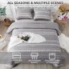 imageAndency Quilt King Size Set Grey 106x96 Inch 3 Pieces1 Striped Boho Printed Quilt and 2 Pillowcases Bohemian Summer Lightweight Reversible Microfiber Bedspread Coverlet Sets01  Grey  Printed Pattern