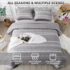 imageAndency Quilt King Size Set Grey 106x96 Inch 3 Pieces1 Striped Boho Printed Quilt and 2 Pillowcases Bohemian Summer Lightweight Reversible Microfiber Bedspread Coverlet Sets01  Grey  Printed Pattern