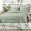 imageAndency Quilt King Size Set Grey 106x96 Inch 3 Pieces1 Striped Boho Printed Quilt and 2 Pillowcases Bohemian Summer Lightweight Reversible Microfiber Bedspread Coverlet SetsSage Green  Printed Pattern
