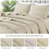 imageAndency Quilt King Size Set Grey 106x96 Inch 3 Pieces1 Striped Boho Printed Quilt and 2 Pillowcases Bohemian Summer Lightweight Reversible Microfiber Bedspread Coverlet SetsBeige  Printed Pattern
