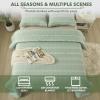 imageAndency Quilt King Size Set Grey 106x96 Inch 3 Pieces1 Striped Boho Printed Quilt and 2 Pillowcases Bohemian Summer Lightweight Reversible Microfiber Bedspread Coverlet SetsSage Green  Printed Pattern