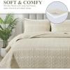 imageAndency Quilt King Size Set Grey 106x96 Inch 3 Pieces1 Striped Boho Printed Quilt and 2 Pillowcases Bohemian Summer Lightweight Reversible Microfiber Bedspread Coverlet SetsBeige  Printed Pattern