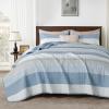 imageAndency Queen Quilt Bedding Set Beige 3 Pieces Patchwork Beige Striped Ultra Soft Lightweight Bedspreads Coverlets Set with 2 Pillow Shams for All Seasons 90quotx96quot31  Misty Blue
