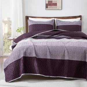 imageAndency Queen Quilt Bedding Set Beige 3 Pieces Patchwork Beige Striped Ultra Soft Lightweight Bedspreads Coverlets Set with 2 Pillow Shams for All Seasons 90quotx96quot08  Purple Gray