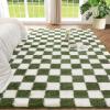 imageAndency 3x5 Ft Black and White Area Rug for Living Room Classic Checkered Shaggy Rug NonSlip High Pile Soft Fluffy Rug Fuzzy Carpet Bedroom Kids Toddler Room Nursery Playroom Cute Dorm Home DecorGreen and White