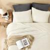 imageAndency Fluffy Queen Comforter Set Super Soft White Comforters Queen Size Winter Warm Fleece Faux Fur Bedding Set Luxury Plush Fuzzy Bed Set 3 Pieces 1 Shaggy Comforter 2 PillowcasesCream