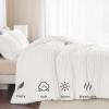 imageAndency Fluffy Queen Comforter Set Super Soft White Comforters Queen Size Winter Warm Fleece Faux Fur Bedding Set Luxury Plush Fuzzy Bed Set 3 Pieces 1 Shaggy Comforter 2 PillowcasesWhite