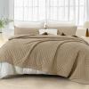 imageAndency Green King Size Quilt Bedding Set 106x96 Inch 3 Pieces Soft Lightweight Bedspread Coverlet Boho Summer Quilt King Size for All Season1 Quilt 2 Pillow ShamsBeige