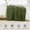imageAndency Green King Size Quilt Bedding Set 106x96 Inch 3 Pieces Soft Lightweight Bedspread Coverlet Boho Summer Quilt King Size for All Season1 Quilt 2 Pillow ShamsGreen