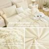 imageAndency Queen Comforter Set Black Fluffy Winter Faux Fur Warm Soft Plush Bedding Comforter Set 1 Velvet Comforter ampamp 2 Pillowcases Fuzzy Thick Heavy Puffy Comforters Bed Set11  Light Beige